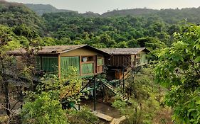 The Arboreal Resort